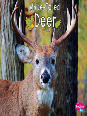 cover image of White-Tailed Deer